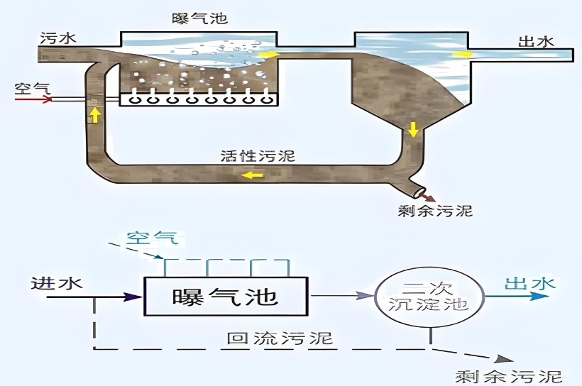 活性污泥系统污泥回流池怎么控制？