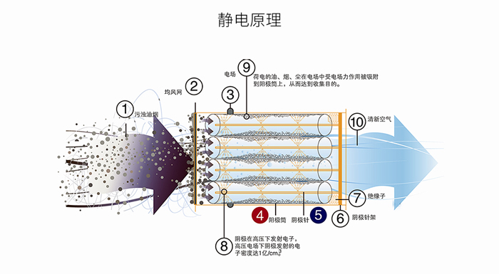 港澳最精准网站