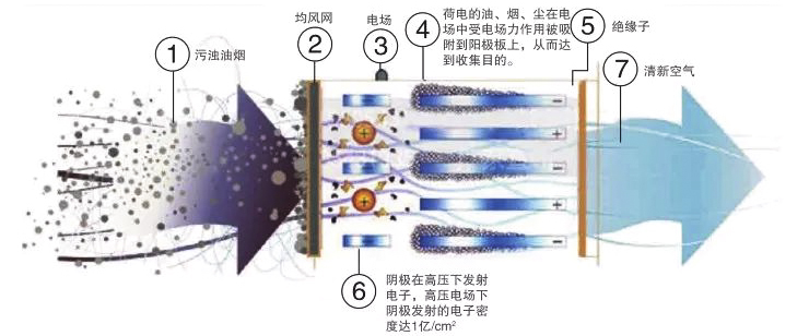 港澳最精准网站